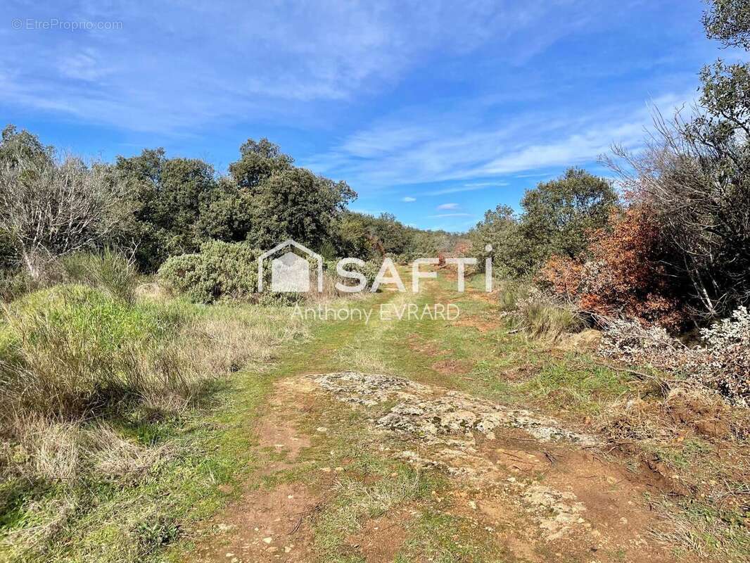 Photo 7 - Maison à SERIGNAN-DU-COMTAT