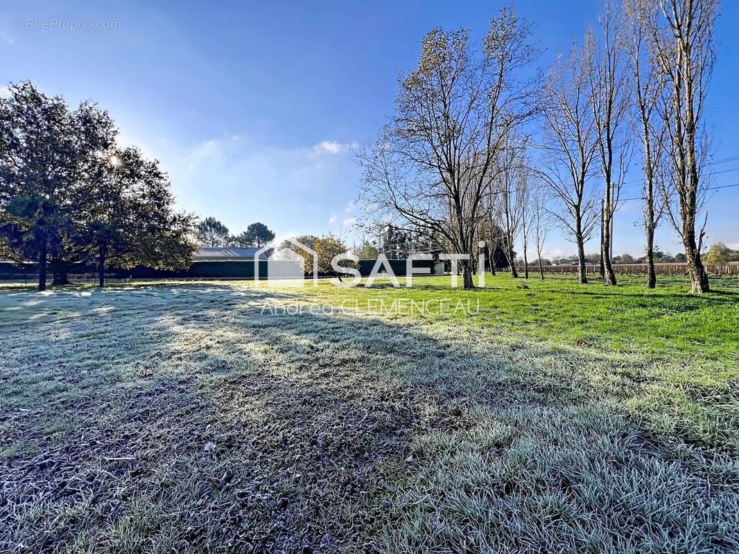 Photo 1 - Terrain à PUGNAC