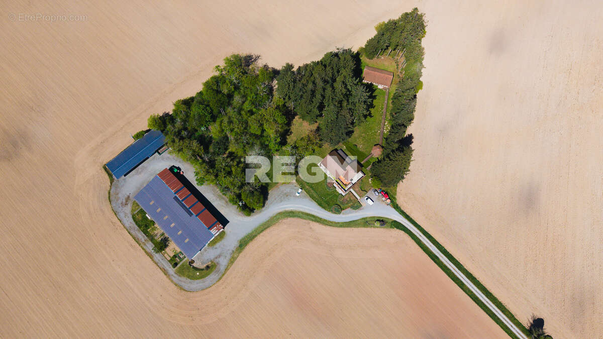 Domaine d’exception de 54,5 hectares avec maison de 300 m2, étang privé, piscine et 1 500 m2 de dépendances - photo 9