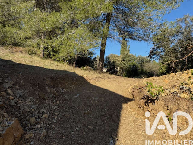 Photo 7 - Terrain à MURVIEL-LES-MONTPELLIER