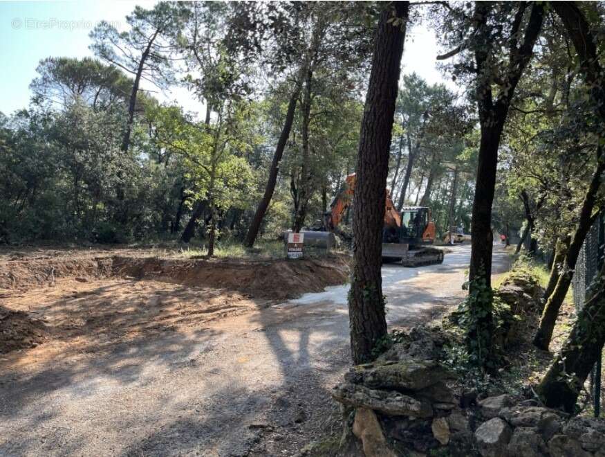 Terrain à SUZE-LA-ROUSSE