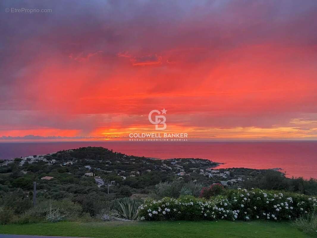 Corbara - Villa de Charme vue Panoramique - photo 13
