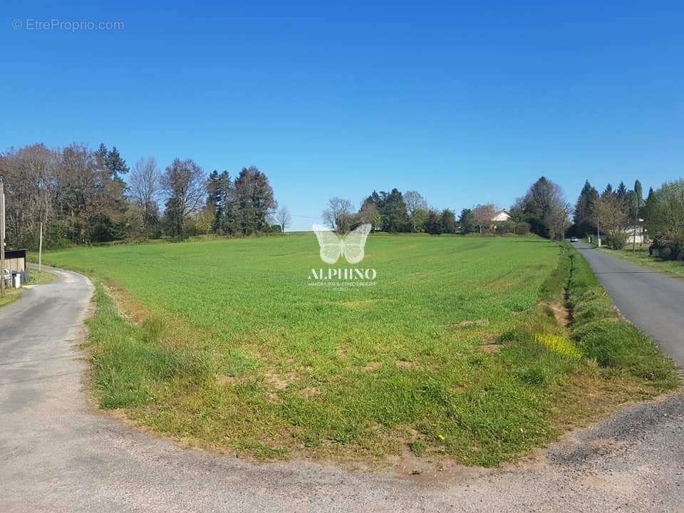 Terrain à VARAIGNES