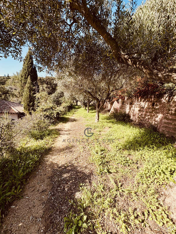 Maison à PLAN-DE-LA-TOUR