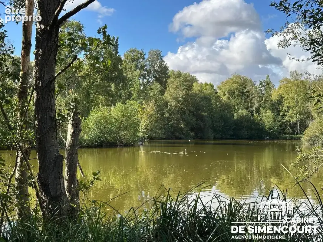 Terrain de loisir - Métropole est - photo 2