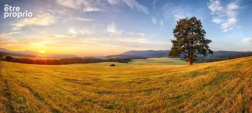 Terrain à DOMPIERRE-SUR-YON
