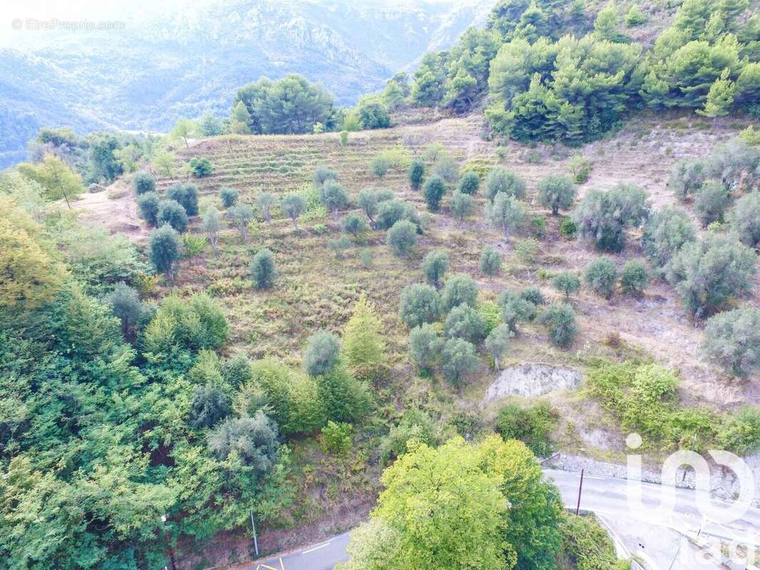 Photo 2 - Terrain à SAINTE-AGNES