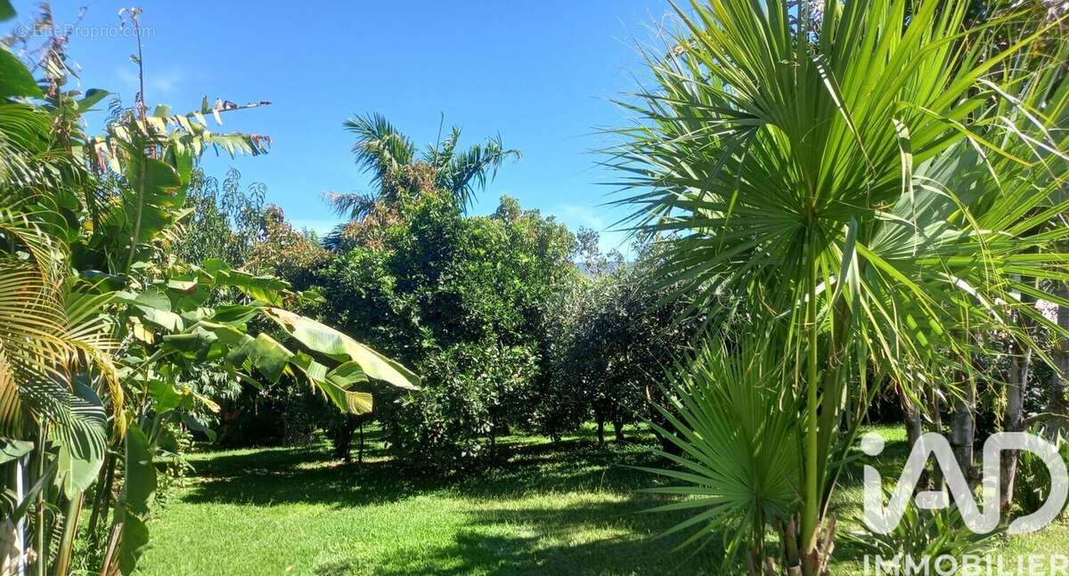 Photo 2 - Maison à LE TAMPON