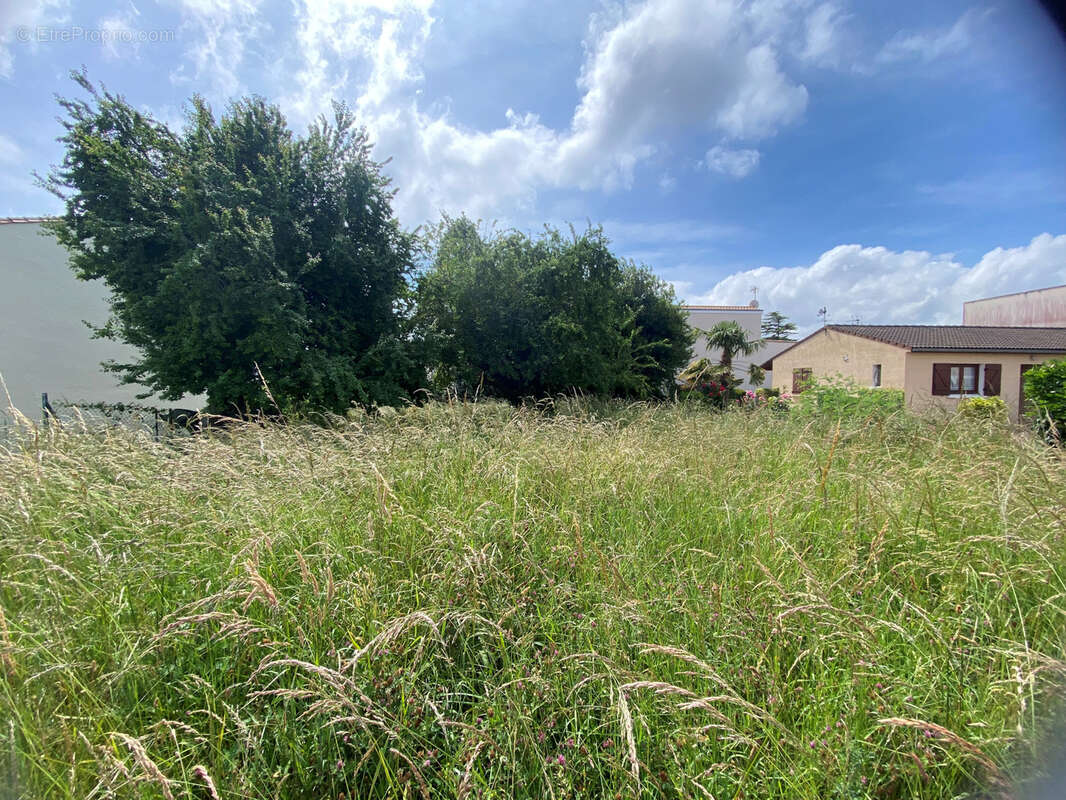 Maison à SAINT-GEORGES-DE-DIDONNE