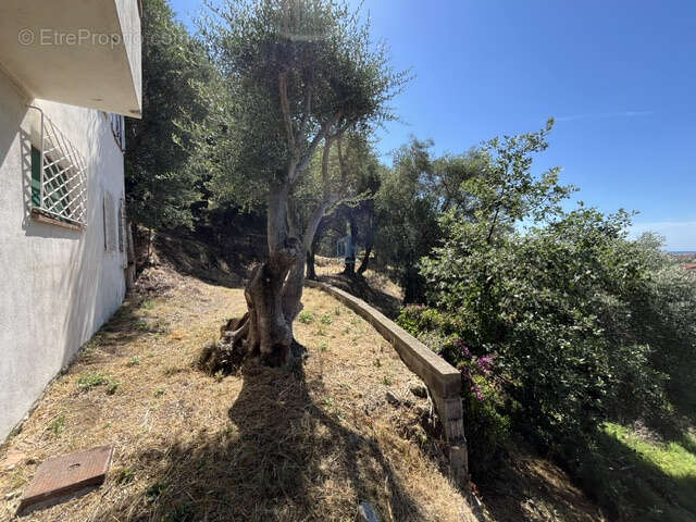 Terrain à MENTON