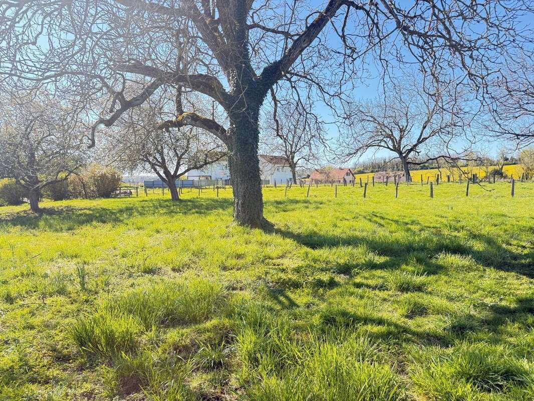 Photo 5 - Terrain à BUTHIERS