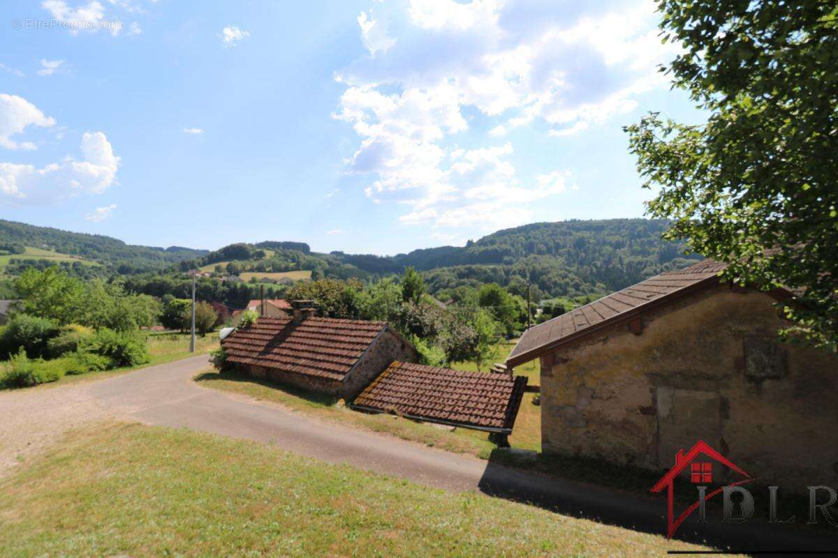 Ferme vosgienne de caractère   Deux logements    Dépendances - photo 29