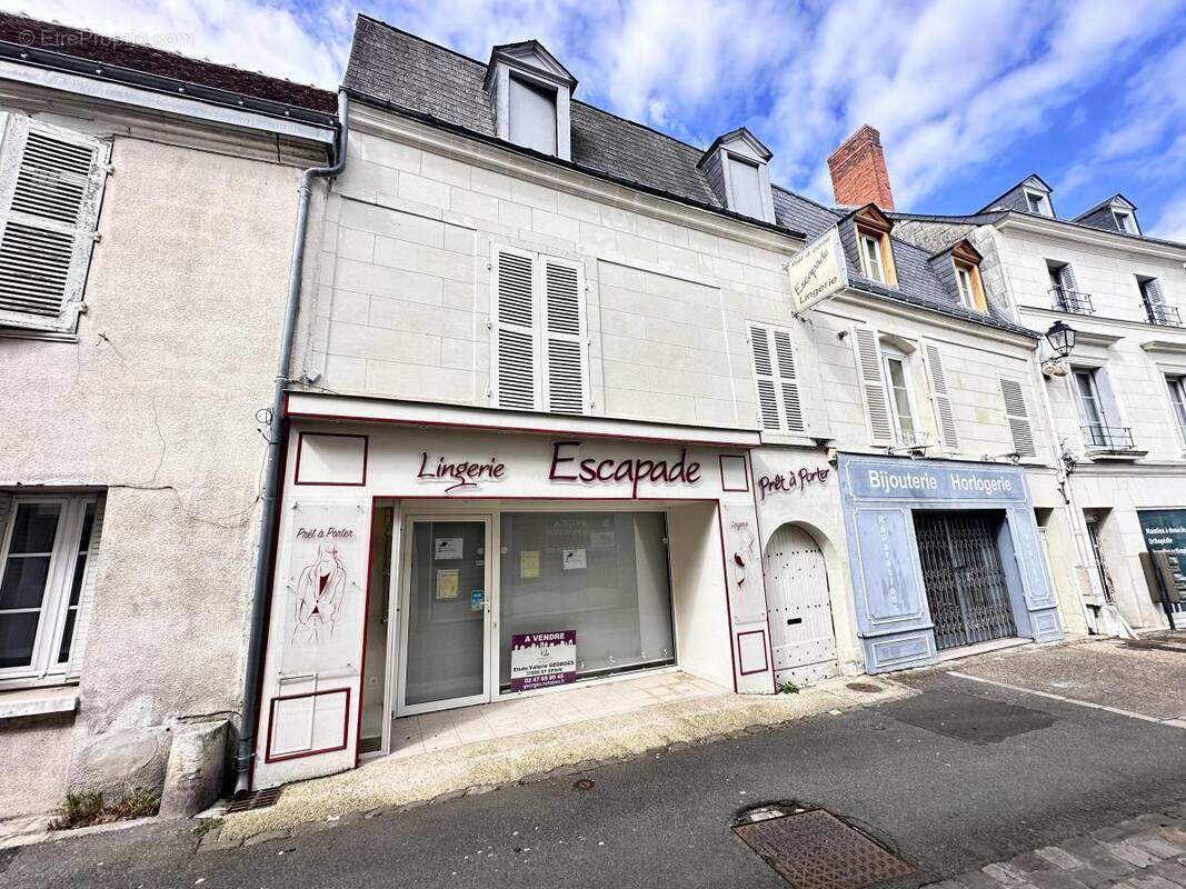 Commerce 180 m² à Sainte-Maure-De-Touraine  - photo 1