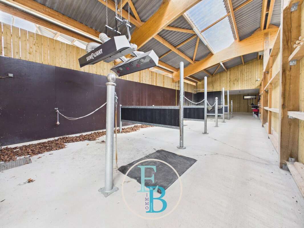 Grangues (pays d'auge) - centre d'entrainement et de reeducation equin avec balneotherapie - photo 12
