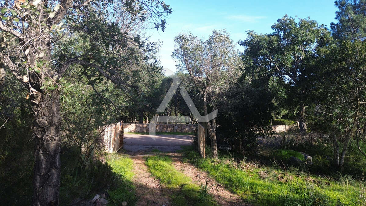 Maison à ZONZA
