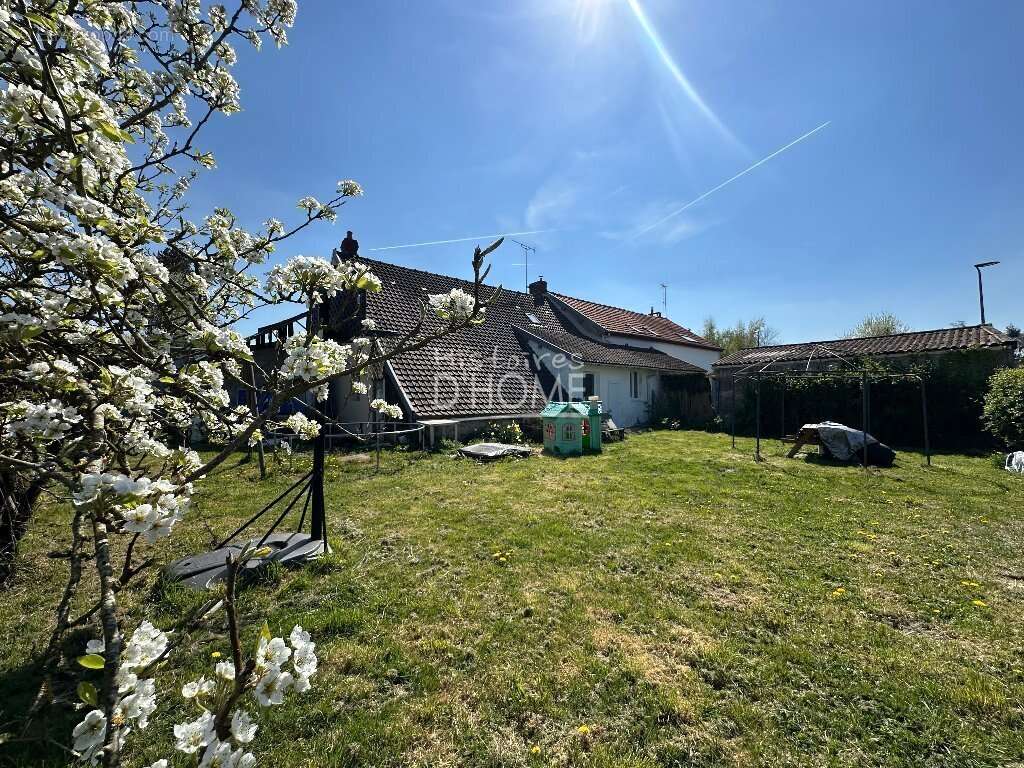 Maison à LA FERTE-GAUCHER