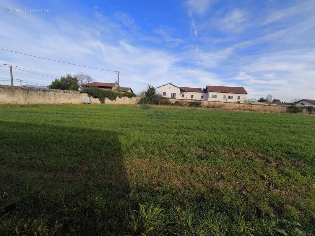 Terrain à SAINT-GEORGES-DE-RENEINS