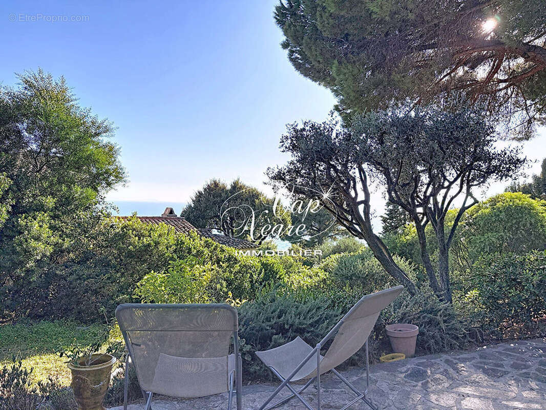 Maison à LE LAVANDOU