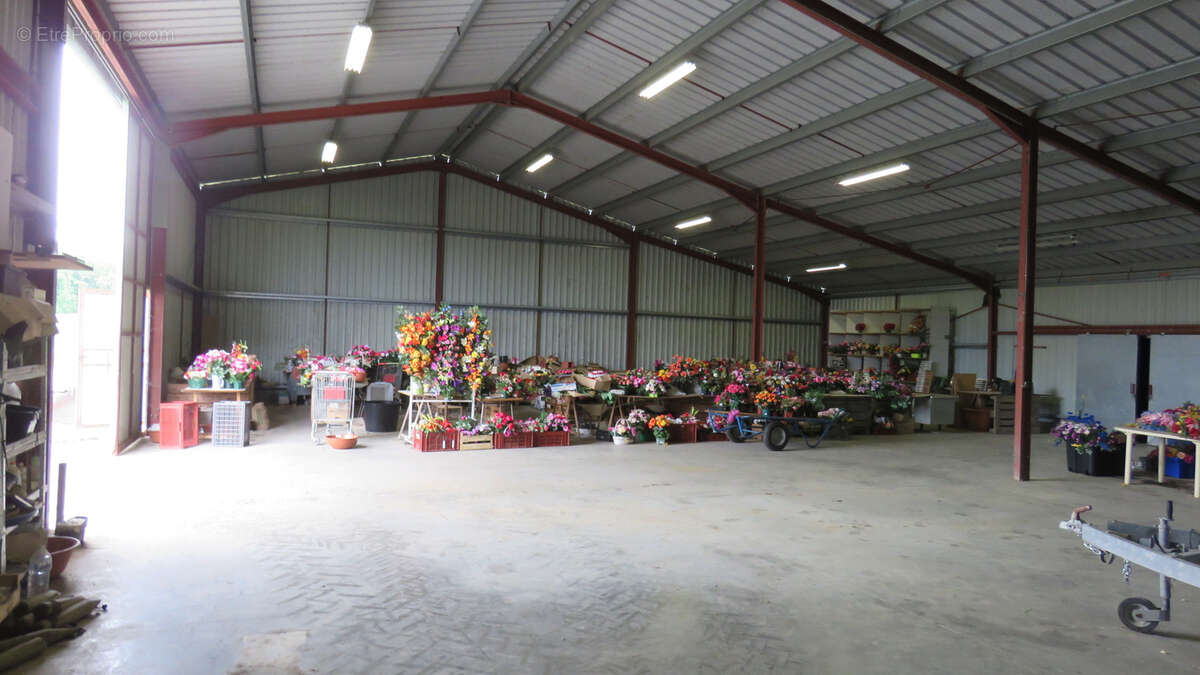 Maison à LANOUAILLE