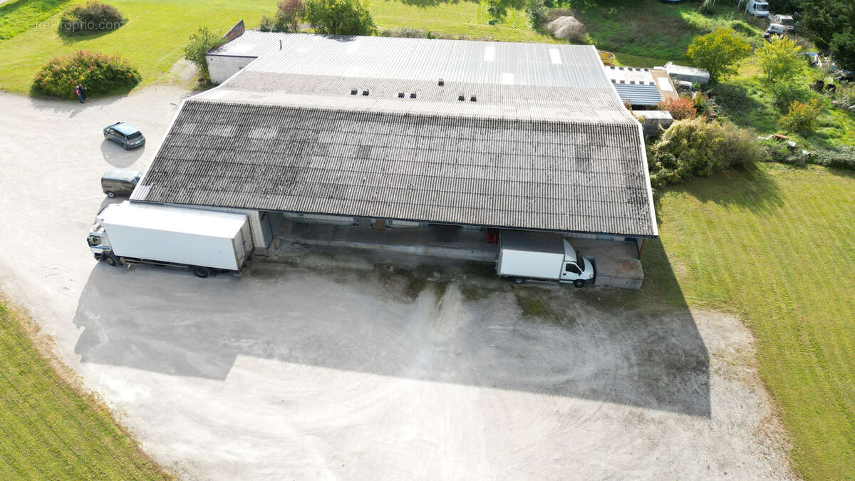 Commerce à LEZINNES