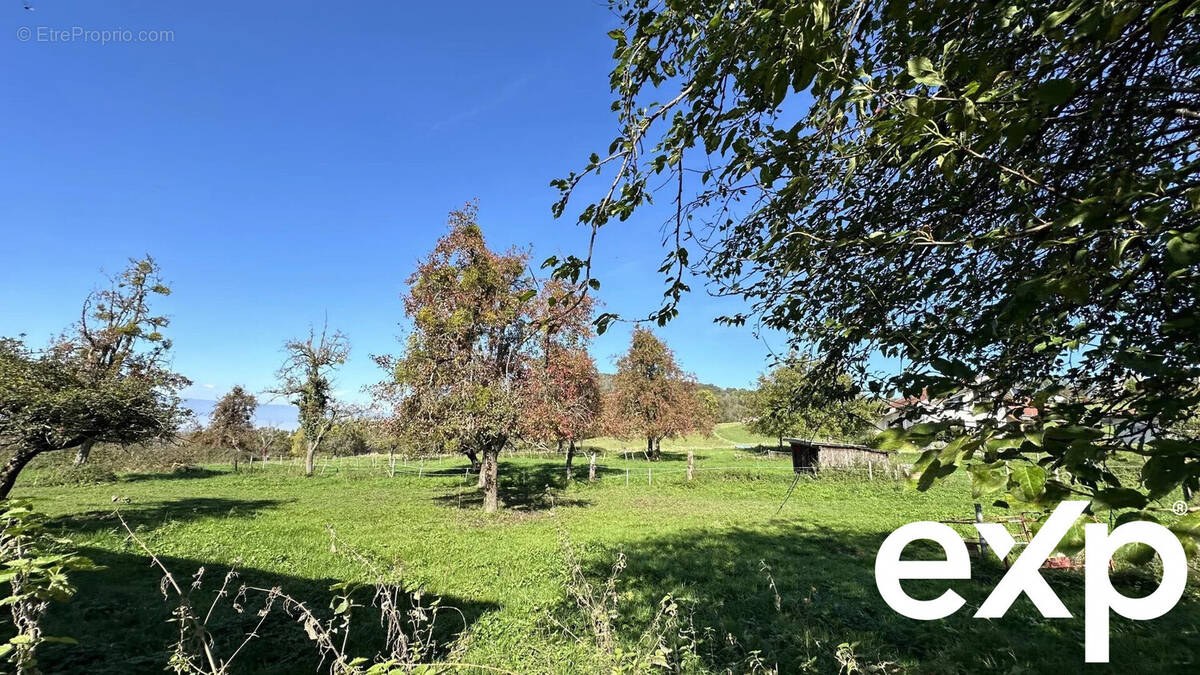 Terrain à PERRIGNIER