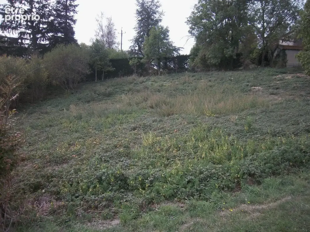 Terrain 1 514 m² à vendre à Fayet-Le-Chateau (63160) - photo 8