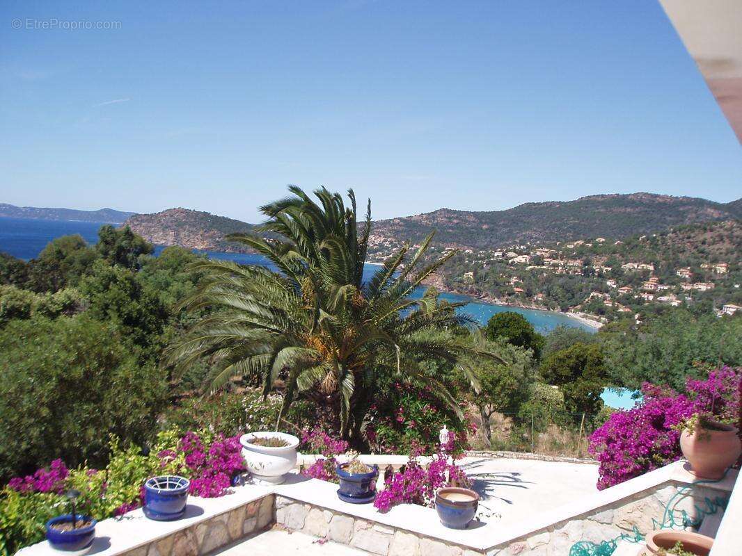 Maison à RAYOL-CANADEL-SUR-MER