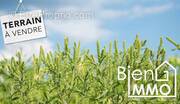 Terrain à LE TAMPON