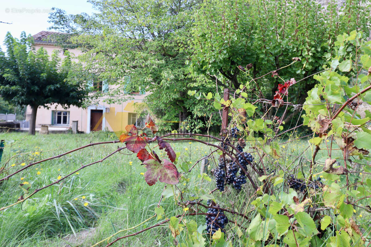 Maison à MALAUCENE