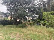 Terrain à PERPIGNAN