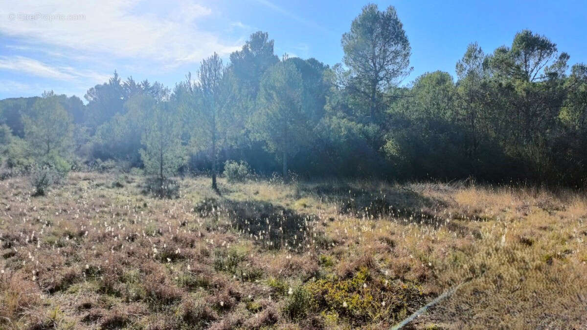 Terrain à MONTARNAUD