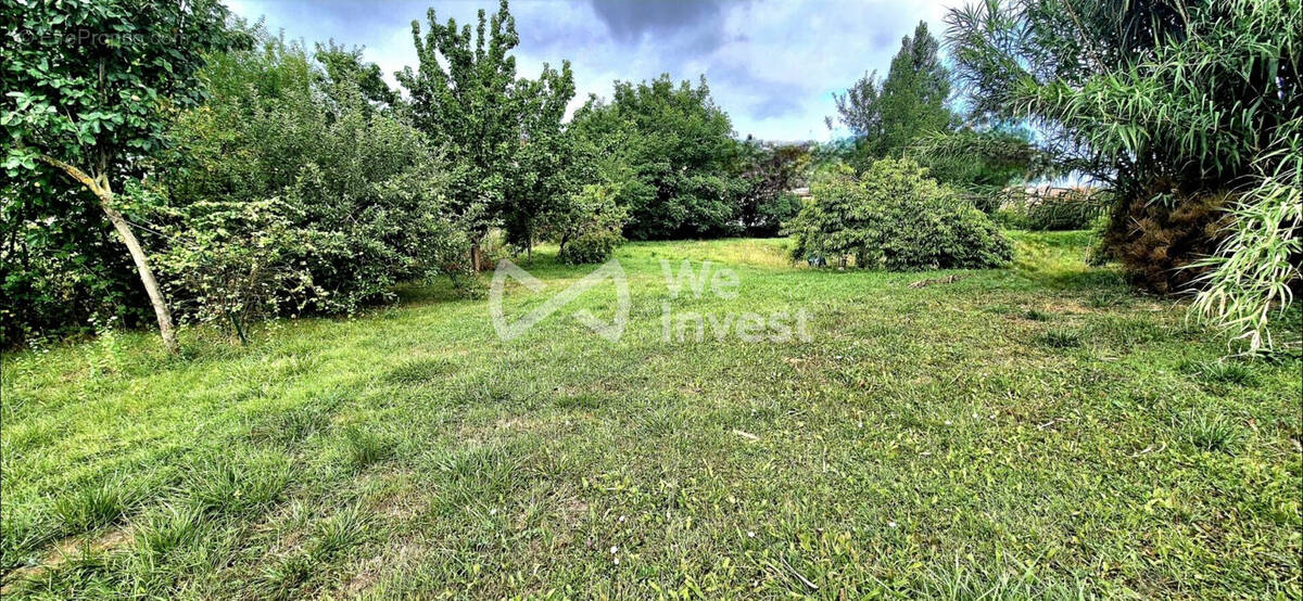 Terrain à WASSELONNE