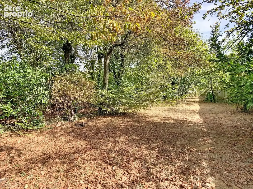 Photo 1 - Terrain à LE PLESSIS-TREVISE