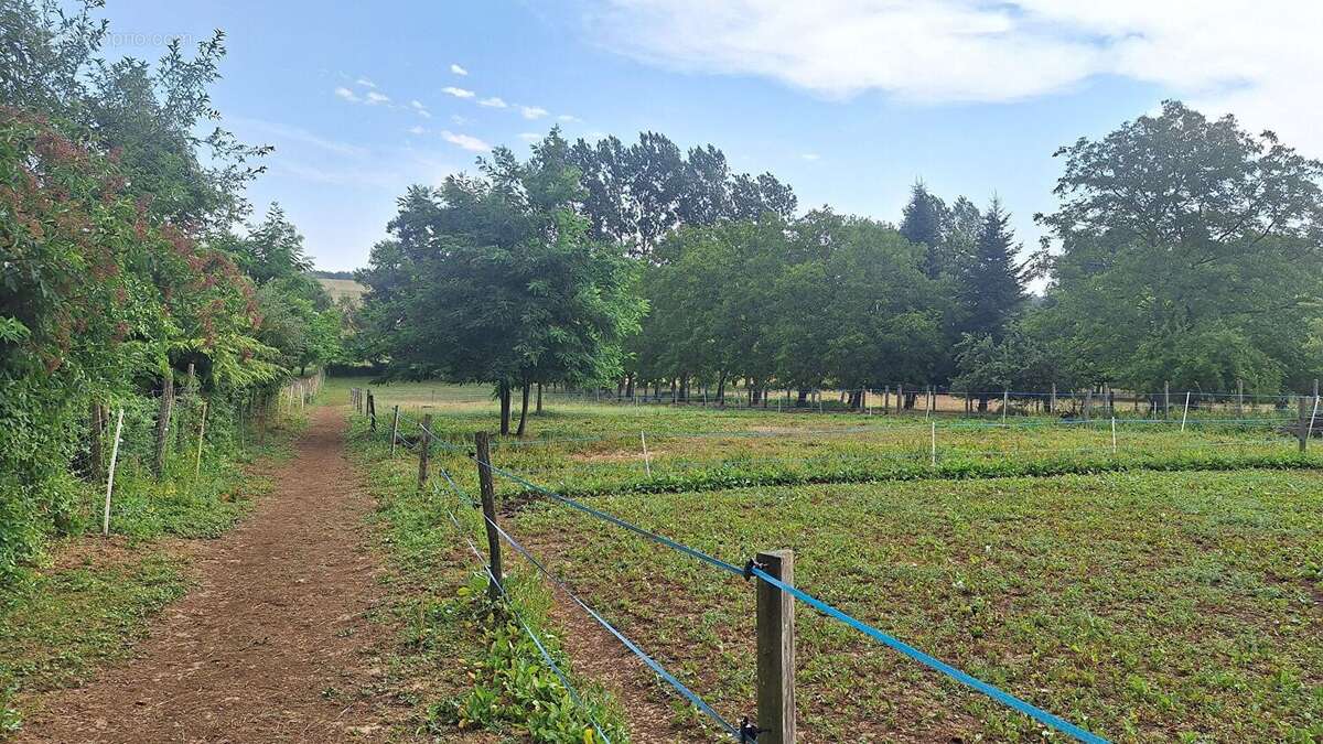 Petite propriété équestre  sur 3800 m² - photo 8