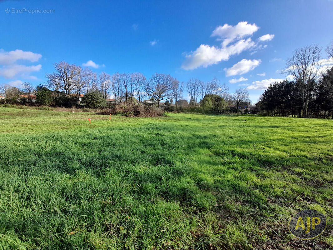 Terrain à LE CHAMP-SAINT-PERE