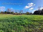 Terrain à LE CHAMP-SAINT-PERE