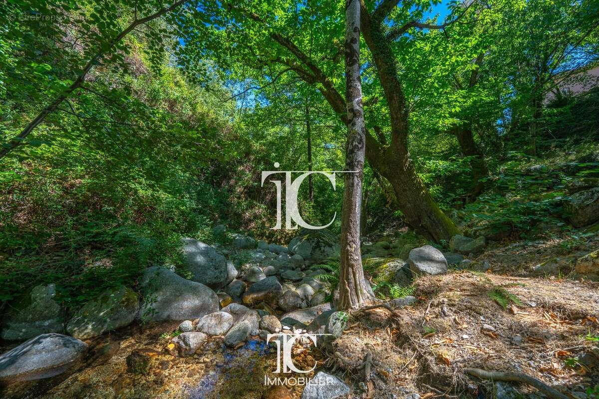 Villa 2005 140m² avec 5600m² terrain avec riviere - photo 4