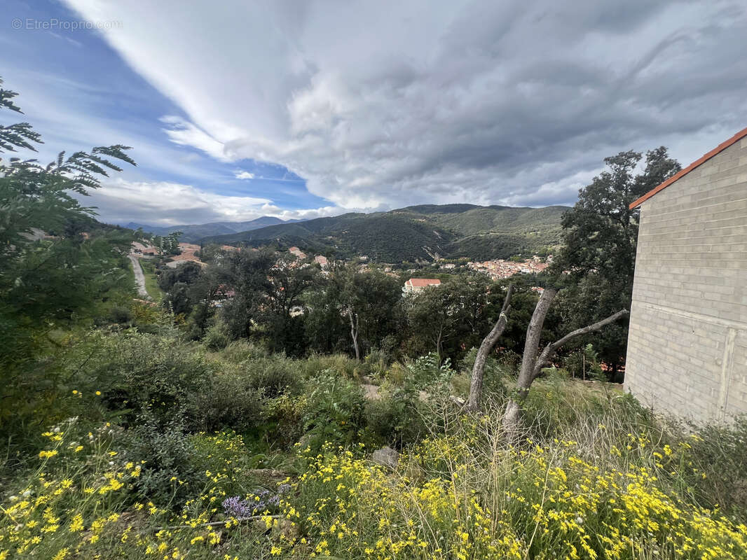 Terrain à AMELIE-LES-BAINS-PALALDA