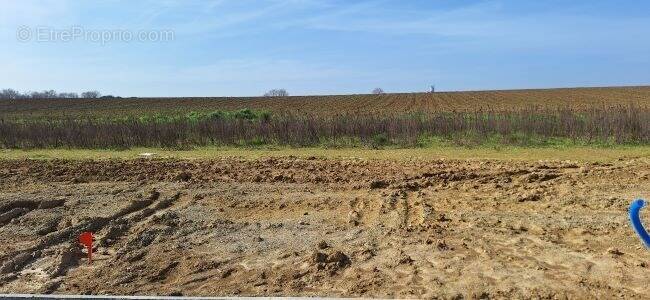 Terrain à MERVILLE
