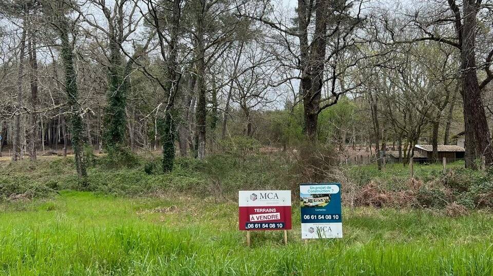 Terrain à DAMAZAN