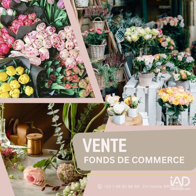 Photo 1 - Commerce à FAVERGES
