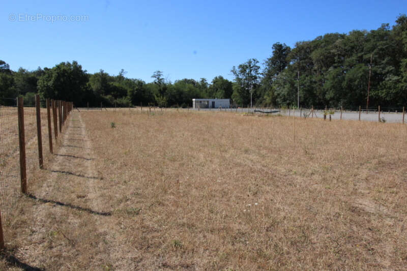 Terrain à CHATELLERAULT