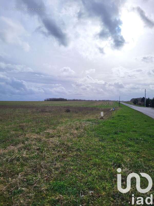 Photo 2 - Terrain à MONTCORBON