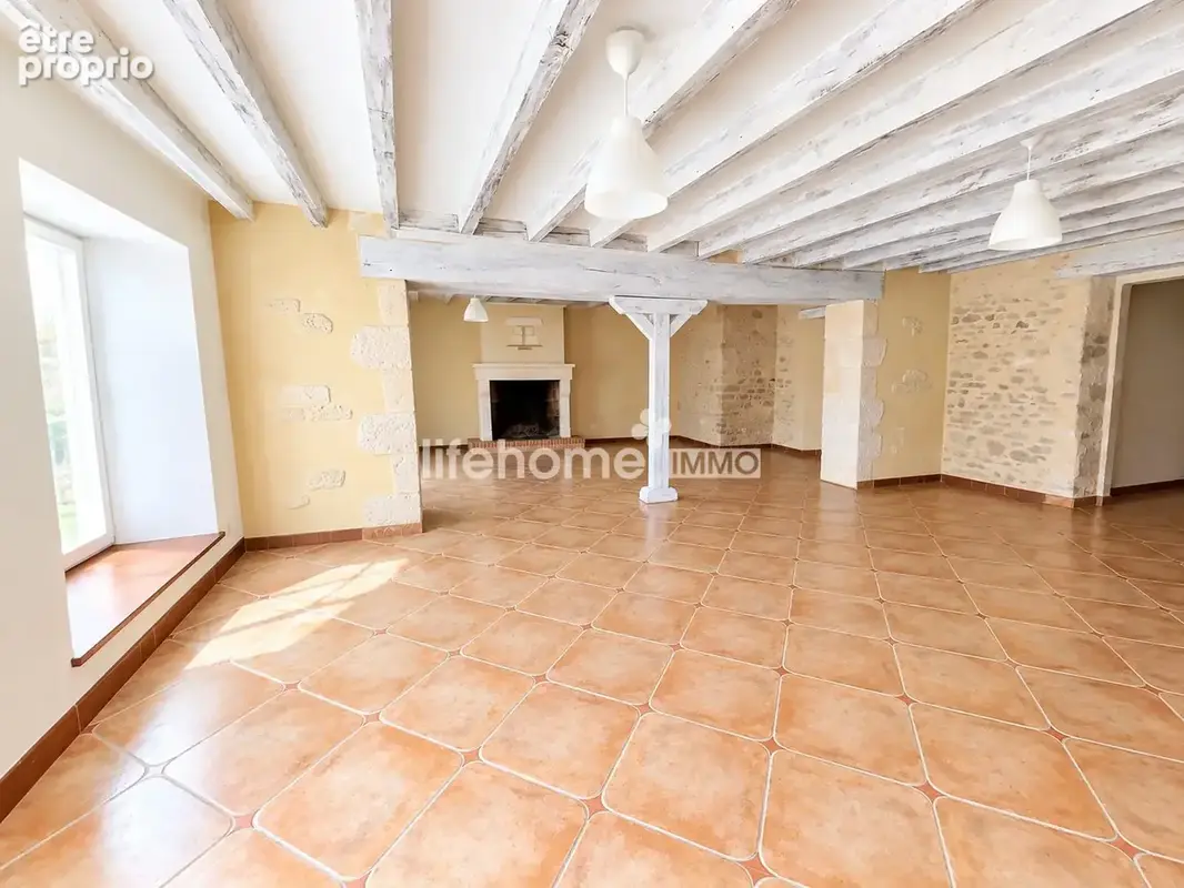 Maison 7 pièces 245 m² à vendre à Villedieu-Sur-Indre (36320) - photo 1