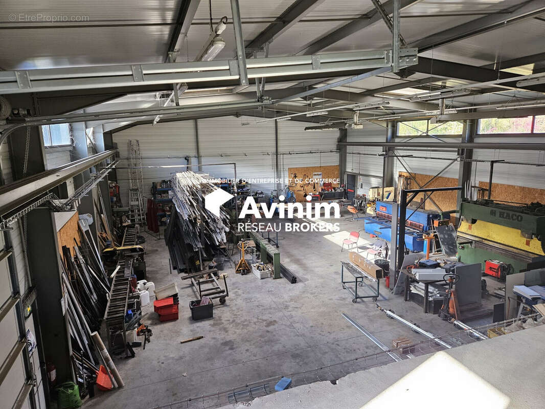 Commerce à MOLINGES