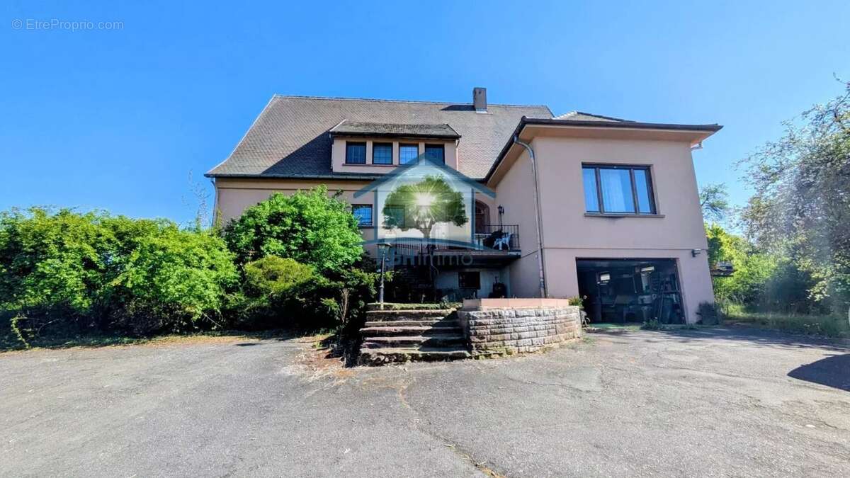 INGWILLER (67) - Maison 334m² avec Cave, Cour et Jardin sur 95 ares - photo 3