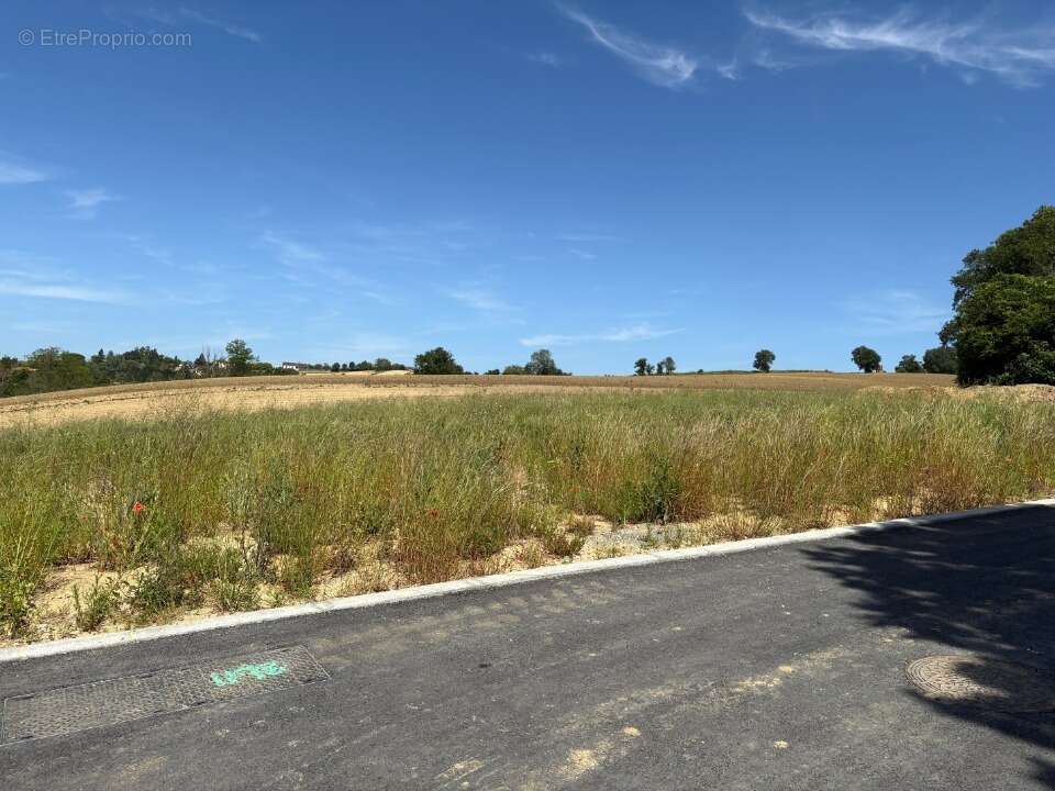 Terrain 983 m² à Verfeil  - photo 4