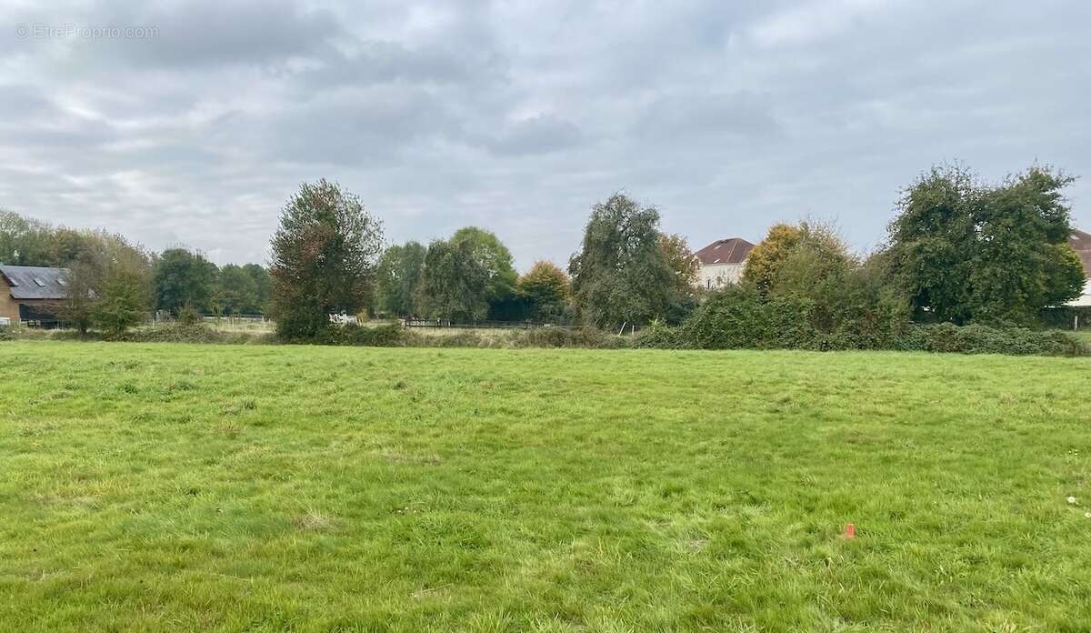 Terrain à BEUZEVILLE