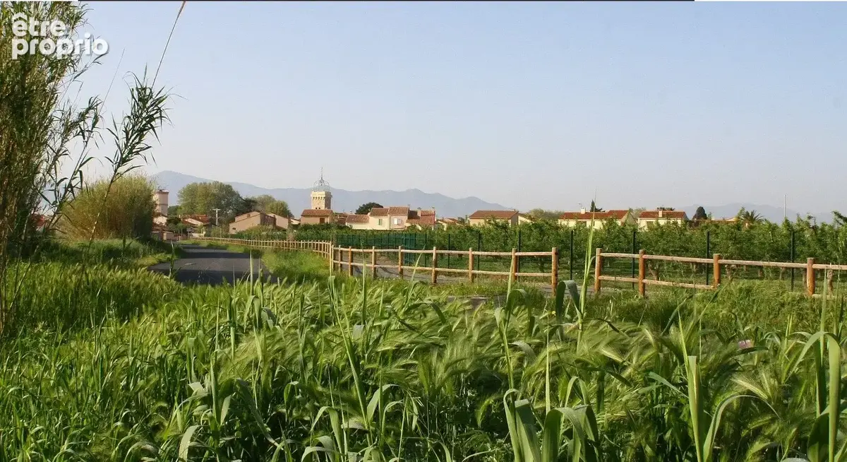 Theza - terrain a batir - 3 faces 1223 m² - a 5 min de perpignan - photo 7