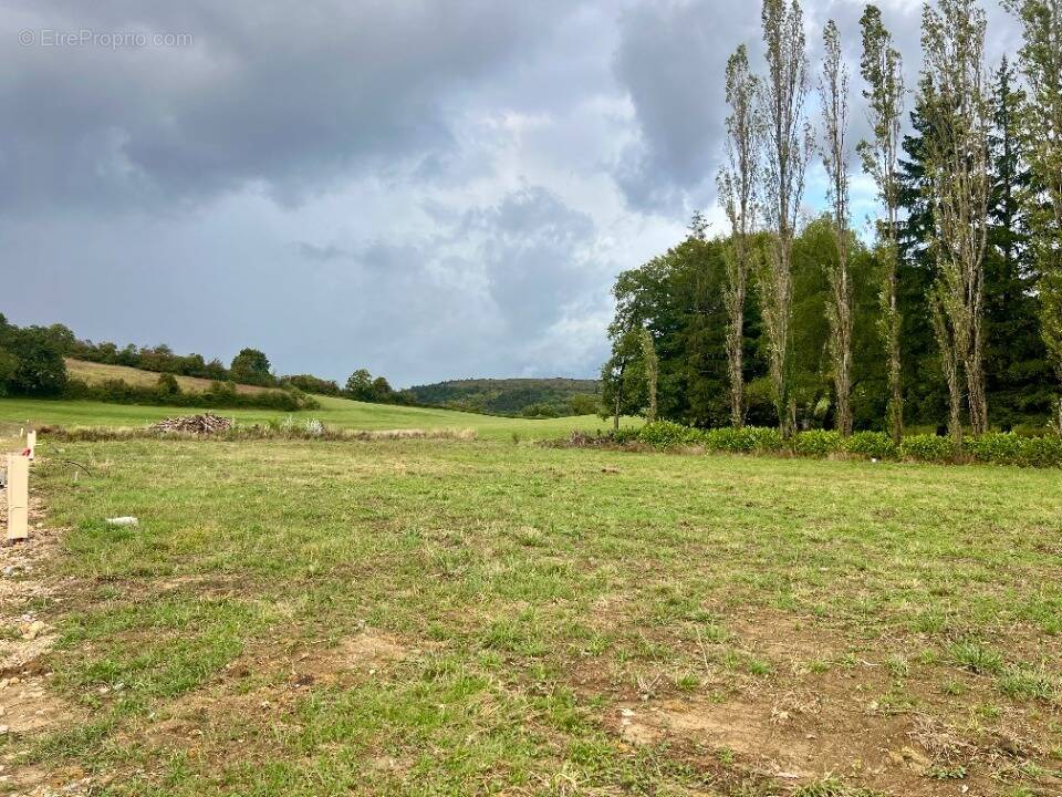 Terrain à REVONNAS